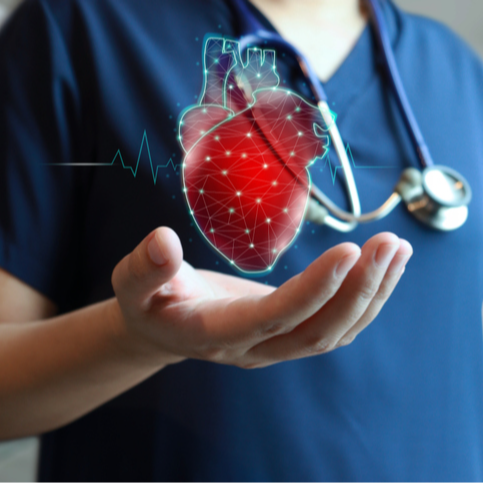 Cardiac Action Potential   - 23% OFF | PricelessMed