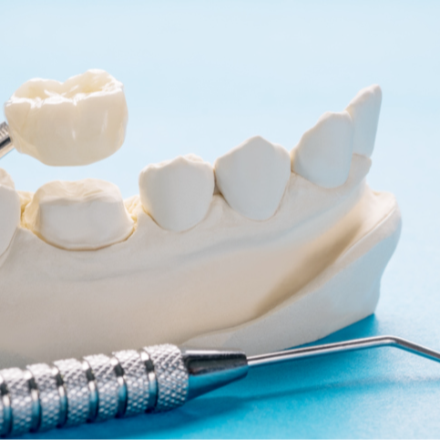 Save 15% on PFM Crown | PricelessMed