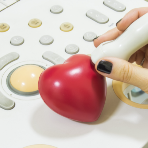 Echocardiography (Echo) Discount | PricelessMed